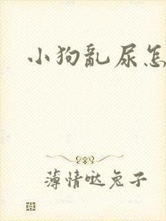 小狗乱尿怎么办