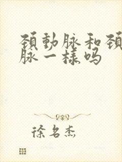 颈动脉和颈总动脉一样吗