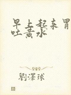 早上起来胃难受吐黄水