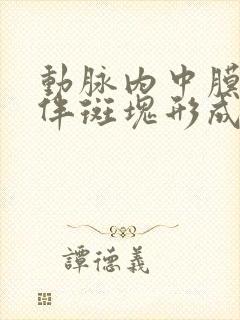 动脉内中膜增厚伴斑块形成