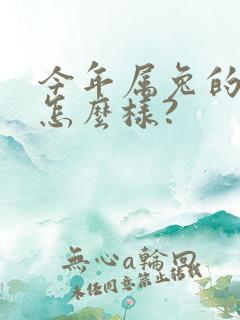 今年属兔的财运怎么样?