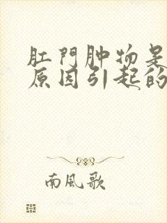 肛门肿物是什么原因引起的