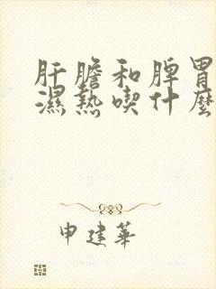 肝胆和脾胃都有湿热吃什么药呢?