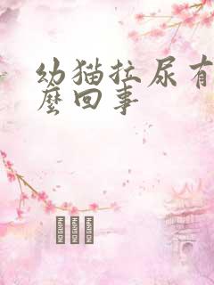 幼猫拉尿有血怎么回事