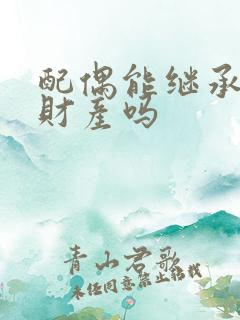 配偶能继承婚前财产吗