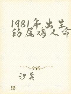 1981年出生的属鸡人命运怎样