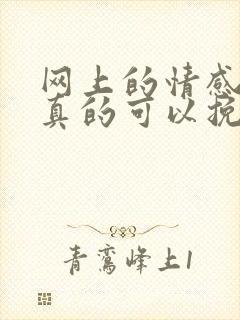 网上的情感导师真的可以挽回婚姻吗