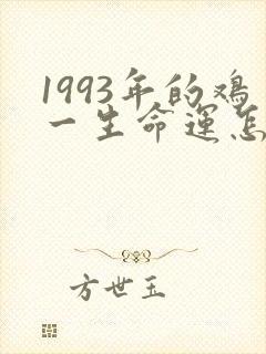 1993年的鸡一生命运怎样