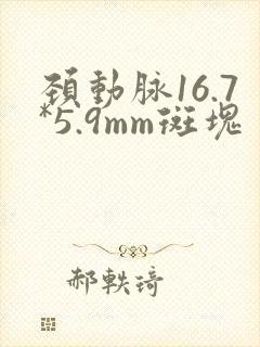 颈动脉16.7*5.9mm斑块