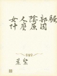 女人阴部骚痒是什么原因