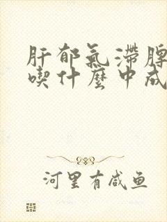 肝郁气滞脾气虚吃什么中成药