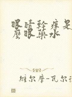 眼睛干痒是用什么眼药水