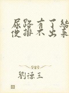 尿路有了结石小便排不出来怎么办