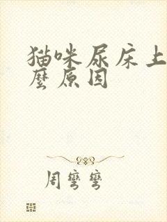 猫咪尿床上是什么原因