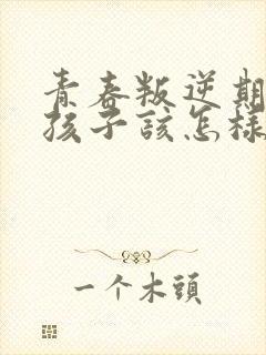 青春叛逆期的男孩子该怎样去沟通教育