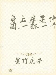 身上痒是什么原因.一抓一个疙瘩