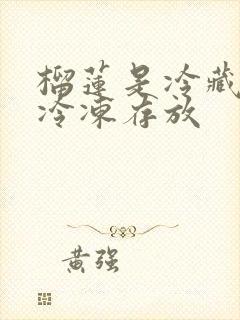 榴莲是冷藏还是冷冻存放