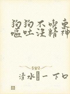 狗狗不吃东西还呕吐没精神怎么办狗