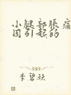 小腿部胀痛啥原因引起的