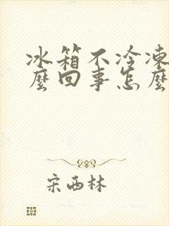 冰箱不冷冻了怎么回事怎么解决