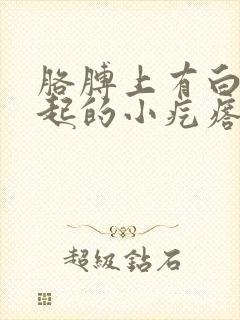 胳膊上有白色凸起的小疙瘩