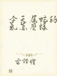 今天属蛇的人运气怎么样