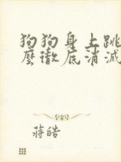 狗狗身上跳蚤怎么彻底消灭