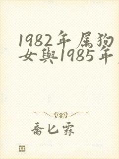 1982年属狗女与1985年属牛男婚配