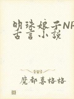 明珠娘子NPC古言小说