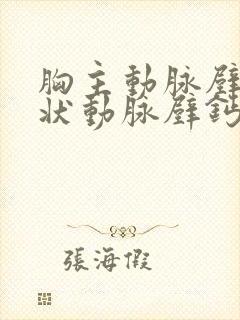 胸主动脉壁及冠状动脉壁钙化