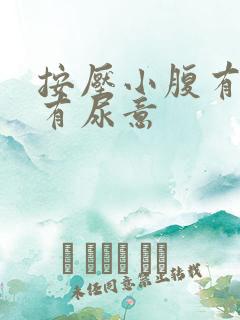 按压小腹有点痛有尿意