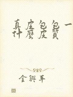 真皮包包一般是什么皮质