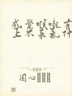 感觉喉咙有异物上不来气什么原因