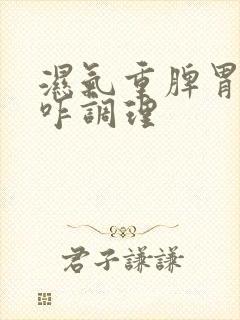 湿气重脾胃不好咋调理