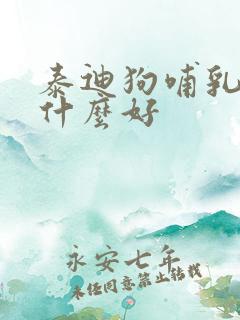 泰迪狗哺乳期吃什么好