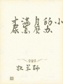 才满月的小狗乱尿怎么办