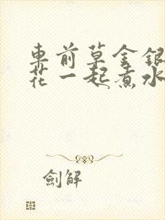 车前草金银花菊花一起煮水喝