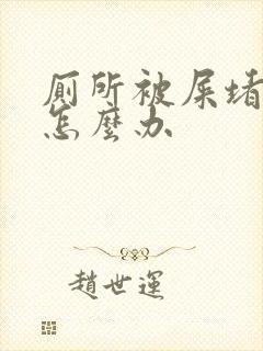 厕所被屎堵住了怎么办