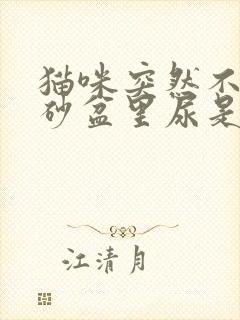 猫咪突然不在猫砂盆里尿是什么原因