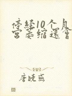 停经10个月子宫萎缩还会来月经吗