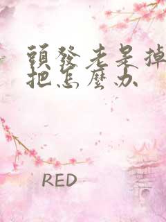 头发老是掉一大把怎么办