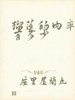 榴莲的肉率一般有多少