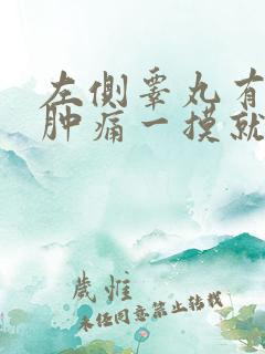 左侧睾丸有个小肿痛一摸就疼