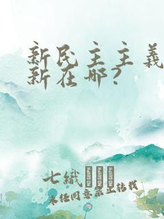 新民主主义革命新在哪?