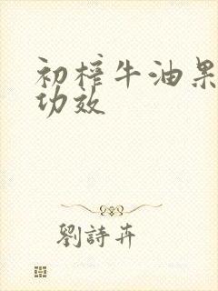 初榨牛油果油的功效