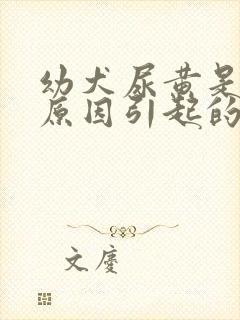 幼犬尿黄是什么原因引起的