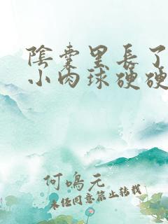 阴囊里长了一个小肉球硬硬的