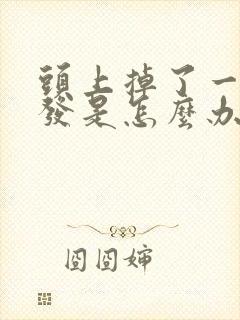 头上掉了一块头发是怎么办