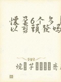 怀孕6个多月可以剪头发吗