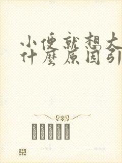 小便就想大便是什么原因引起的